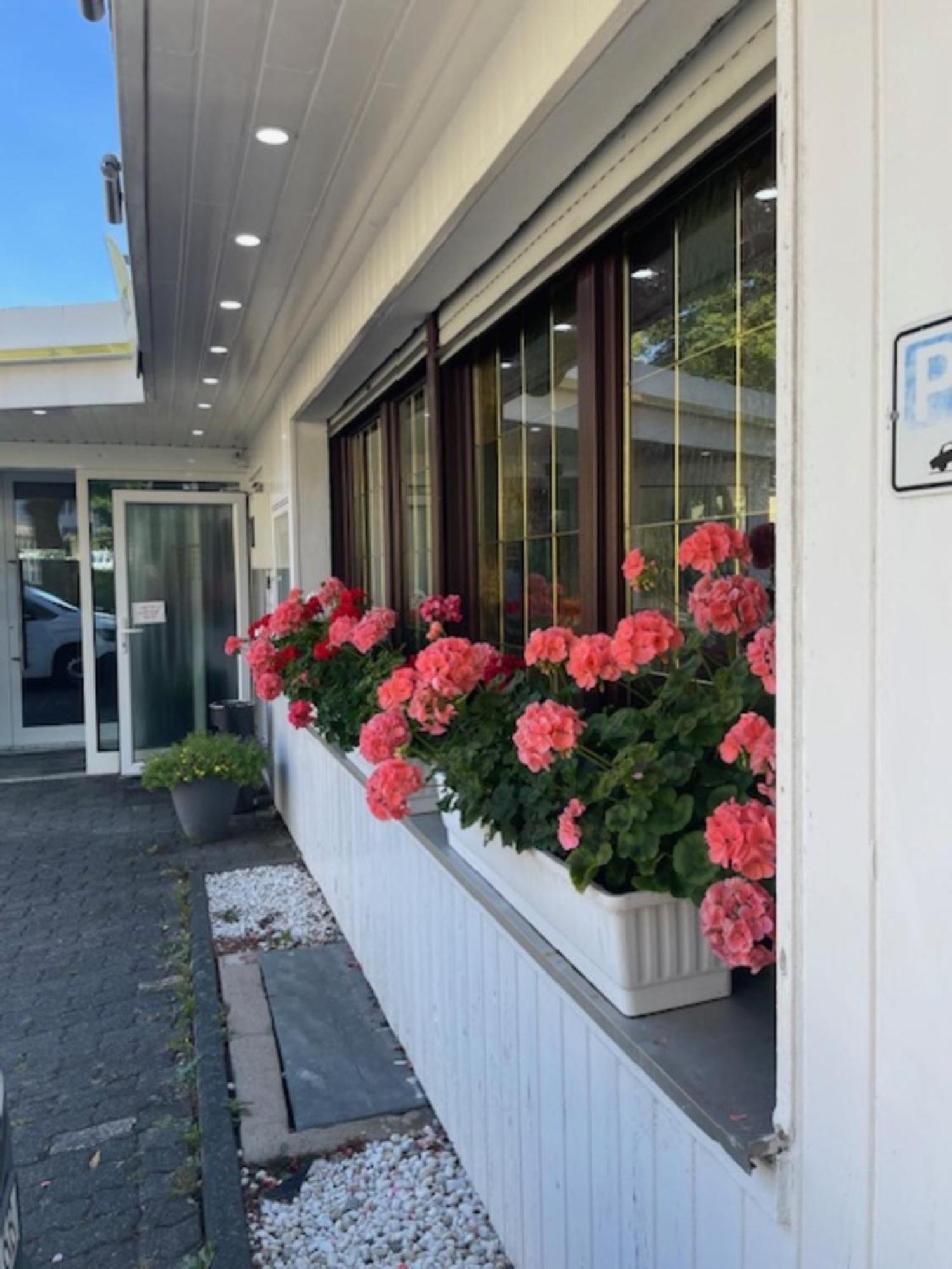 Hotel Schaefer Siegen Exterior foto